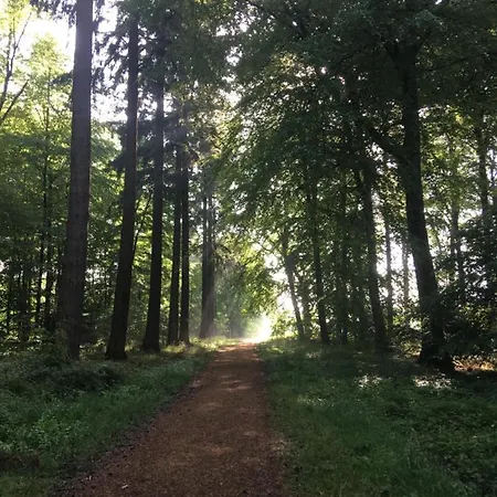 Ferienapartment Kastanje Apartment Gross Ippener