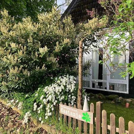 Ferienapartment Kastanje *